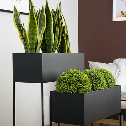 Original long planter ural long %281%29